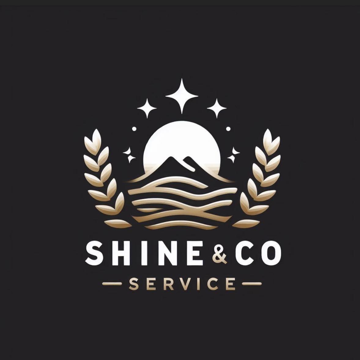 Shine & Co. Services